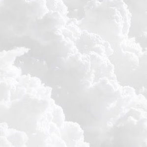 Meet your Posher, Tsenbujin